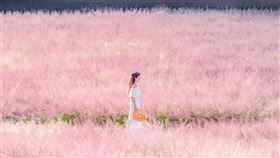 名家專用／台灣旅行趣（勿用）