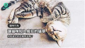  ▲圖／翻攝自PetTalk官網