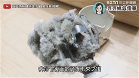 ▼▲打開後方馬達蓋意外發現卡滿棉絮灰塵。（圖／豆豆媽咪健康生活家 吳霈蓁 授權）