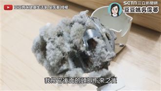 電風扇轉不動　打開後方驚見棉絮卡滿