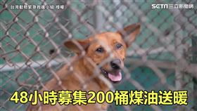 ▲▼台灣動物緊急救援小組發起募款，短短48小時就募集了200桶煤油的捐款。（圖／台灣動物緊急救援小組 授權）