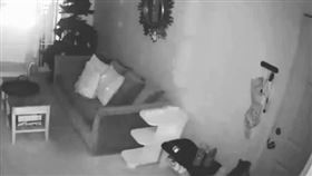 格倫聽見艾麗克絲回家了，馬上跑到門口不停撓門，一邊發出低沉的叫聲。（圖／翻攝自instagram @ glennthebabycat） 