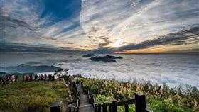 二延平步道列隙頂三寶之一 (茶園步道、雲瀑雲海、夕照)，美景在此一網打盡。（圖／雄獅提供）
