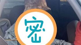 為躲高乘載管制！老伯「出1怪招」闖關　警看傻：你想的美 翻攝自@Arizona_DPS推特 骷顱頭