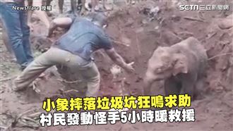 小象摔坑狂鳴　村民5hrs暖救援
