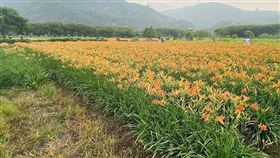 名家專用／台灣旅行趣（勿用）