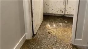 屎海,Tiktok,廁所,天花板 （圖／翻攝自Tiktok）