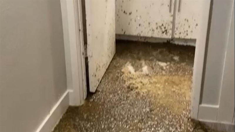 新家天花板膨脹…竟炸出「糞水瀑布」