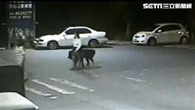 彰化女深夜遛獒犬　竟惹1死1傷命案(圖/翻攝畫面)