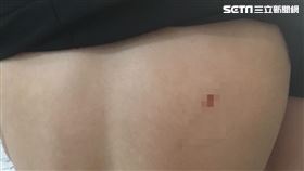 雄檢,刀傷,隨機,地檢署,砍人