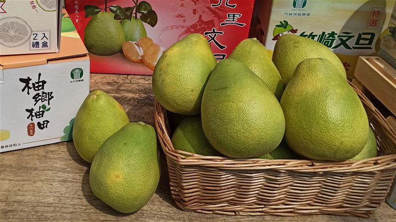 柚子≠文旦！農糧署吐真相驚呆眾人