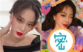 韓藝瑟（圖／翻攝自IG）