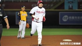 ▲樂天桃猿捕手林泓育敲出陽春砲。（圖／記者劉彥池攝影）