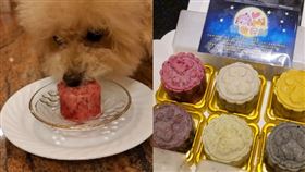 毛小孩竟有專屬月餅（圖／L小姐授權提供）