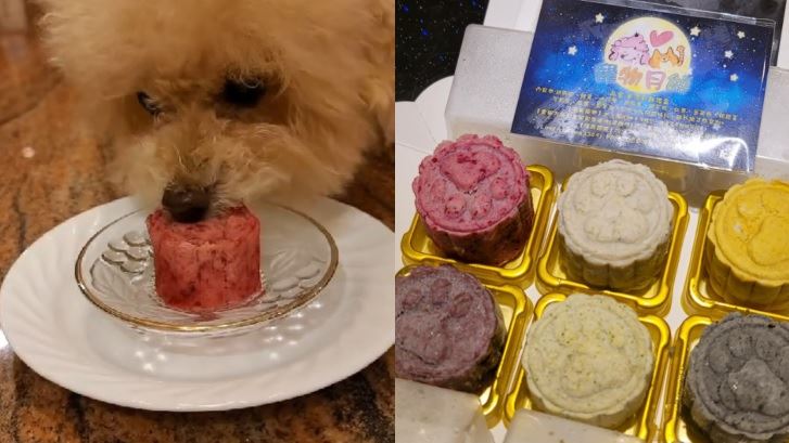 毛小孩也能吃月餅？馬卡龍色掀IG熱