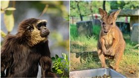 頑皮世界，翻攝自臉書粉專頑皮世界