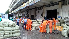 基隆海關查獲8000公斤走私蒜頭