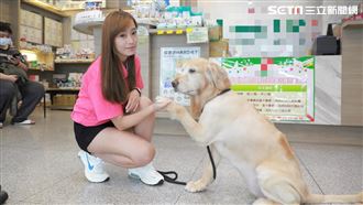 獨／動物醫院櫃檯　驚見啦啦隊女神！