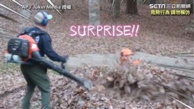 ▲惡作劇。（圖／AP／Jukin Media 授權）