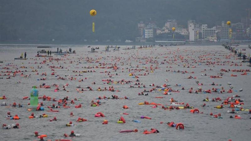 泳渡日月潭多難？網曝只要必備1技能
