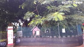 中壢,愛在羊世界,兔子,男童,斷指