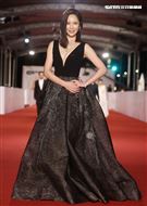 第55屆金鐘獎星光大道明星爭豔天心。（記者邱榮吉、林聖凱/攝影）