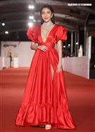 第55屆金鐘獎星光大道明星爭豔楊謹華。（記者邱榮吉、林聖凱/攝影）