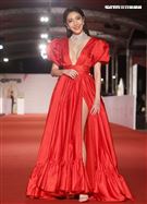 第55屆金鐘獎星光大道明星爭豔楊謹華。（記者邱榮吉、林聖凱/攝影）