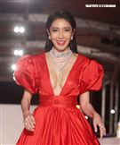 第55屆金鐘獎星光大道明星爭豔楊謹華。（記者邱榮吉、林聖凱/攝影）