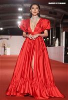 第55屆金鐘獎星光大道明星爭豔楊謹華。（記者邱榮吉、林聖凱/攝影）