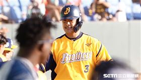 中信兄弟林智勝敲出傷後首轟。（圖／記者林聖凱攝影）
