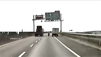 水產行貨車「路殺」重機　館長說話了