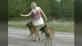 雙汪「神複製」舞步　網：當狗太可惜
不少人在唱歌時總會搭配舞蹈，甚至請朋友當舞者伴舞，一起同樂，日前就有網友在網路分享一支有趣的影片，只見女主角和2隻汪星人在馬路中間開心的翩翩起舞，超萌模樣融化不少人。
https://www.facebook.com/110516380541676/videos/2385045568469908
圖／翻攝自臉書