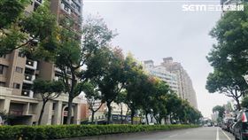 「中壢體育園區」。（圖／台灣房屋提供）