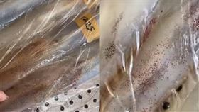 小卷、中卷嚇到網友，表面遍怖紅色眼睛狂閃爍。（圖／翻攝自爆系知識家）