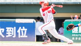 ▲味全龍劉基鴻。（圖／味全龍球團提供）