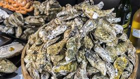 名家專用／台灣旅行趣（勿用）