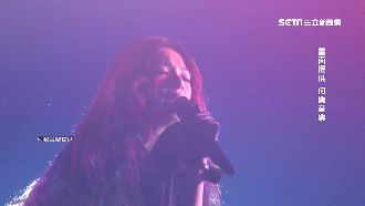 田馥甄演唱會面牆　網轟：花錢看嘸人