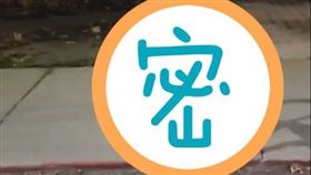 民眾晚上在街道看間一隻黃色機器狗。（圖／翻攝自推特）