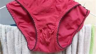 家中內褲胯下全破　她找出兇手嘆心累