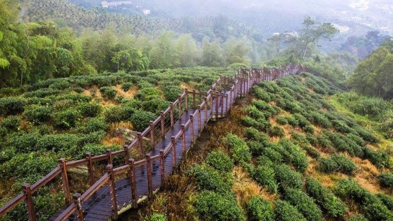 踏青還能領錢？12條山林步道懶人包