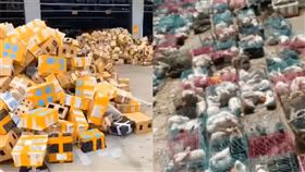 快遞箱塞「1萬隻毛小孩」！悶3天集體死亡…殘忍畫面曝光▲。（圖／翻攝自微博）