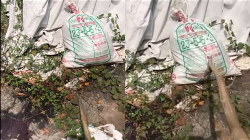 驚見不明麻袋⋯冒屍水　他推測：非貓