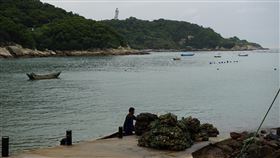 馬祖水域養出肥美淡菜　中秋熱銷馬祖可養出肥美淡菜，中秋節進入銷售高峰，馬祖四維村養殖業者正在處理待出貨的淡菜與牡蠣。　中央社記者邱筠攝　109年9月29日