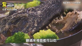 吃鱷魚料理狂尖叫　一入口秒想配白飯