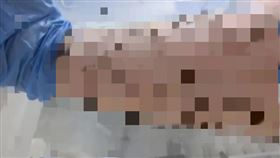 佩蘭每天把手伸進箱子，讓5000隻蚊子吸血。（圖／翻攝自perran ross / twitter）