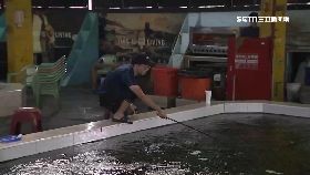 (獨)釣蝦釣到魚1800