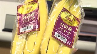 台灣蕉新銷路　日本小學營養午餐現蹤