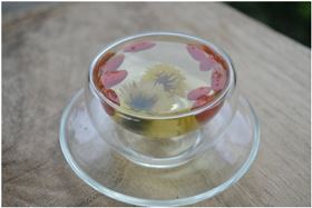 寒露百草枯《羅雀高飛》教你自泡「菊花枸杞茶」食補養生