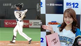 日職／大王首轟　超萌日女星激動發文 NPB,日本職棒,王柏融,全壘打,河野万里奈,女歌手 翻攝自推特、太平洋聯盟TV
